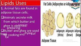 L8  Lipids Source and uses  ch14  10th Chemistry [upl. by Finbar341]