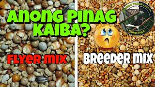 ANONG PINAGKAIBA NG FLYER MIX SA BREEDER MIX🤔 [upl. by Ydorb890]