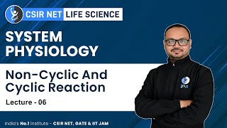 LightDependent Reaction NonCyclic And Cyclic Reaction  CSIR NET Exam For Life Science [upl. by Allisan]