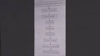 Mechanism of normal labour Engagement of fetal head in pelvic brim [upl. by Odinevneib272]