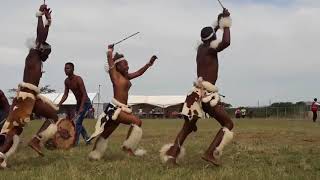 Zulu Dance Championships  Ulundi [upl. by Idnac]