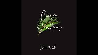 Chosen Scriptures 48  John 316 quotLoved by God Almightyquot and Me [upl. by Cirederf397]