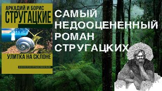 Книжный подкаст quotУлитка на склонеquot О чем роман спойлеры [upl. by Lovel938]