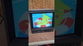 Sony PVM 1350 Color Trinitron Video Monitor 13quot Inch Retro Gaming 12 [upl. by Gehlbach]