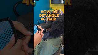 How to detangle 4C hair 🪮 shorts haircare [upl. by Bethezel]