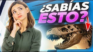 ¿Qué es la PALEONTOLOGÍA 🦕 Desenterrando los secretos de la vida antigua [upl. by Hibbitts]