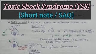 Toxic Shock Syndrome TSS  Staphylococcus aureus  Short answer question  M For Microbiology [upl. by Flaherty]