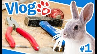 DIY Kaninchen Gehege bauen 🐰💖 Materialkauf amp Zuschnitt 🐾 Folge 1 ♥ Miyukis Vlog [upl. by Anez]