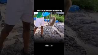 Bro got robbed by Monkeys 😭 speed shorts memes [upl. by Timofei]