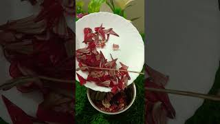 Chutney recipe Roselle flower chutney recipe ll healthy amp tasty yutubeshorts viralvideo [upl. by Pepe]