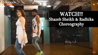 Radhika Madan FABULOUS Dance with Chorographer Shazeb Sheikh On  Haseena Gori Gori [upl. by Wiltsey]