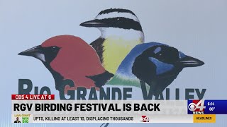 RGV Birding Festival returns [upl. by Newob258]