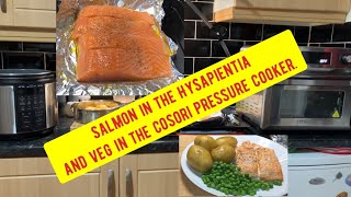 Salmon in the HYSapientia and veg in the cosori pressure cooker [upl. by Borries]