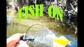 Kayak Fishing Murray cod adventure [upl. by Kendall]