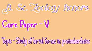 Larval forms in Protochordates [upl. by Nevins]