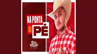 Na Ponta do Pé feat Mc Livinho [upl. by Rheims]