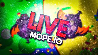 New update review Frankfurt2 LIVE Tag ＴＦ Mopeio [upl. by Omor]