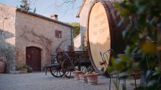 San Gimignano Vineyard Visit  Italys Treasures  Collette [upl. by Venezia262]