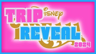 BIG Disney Trip Reveal 2024 COMING SOON [upl. by Joub909]