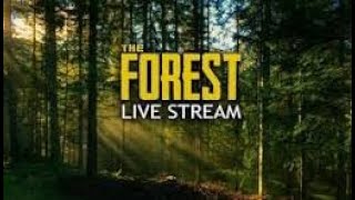 The Forest Live mit Tristi [upl. by Aneliram758]