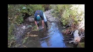 S4E3 Washington State Gold Mining  Prospecting a Stream in the Blewett Pass Area with Pete [upl. by Mycah97]