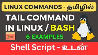 Tail command in Linux Shell Script  விளக்கமும் உதாரணமும்  Shell Script Tamil [upl. by Sher]