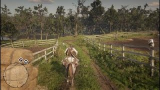 Red Dead Redemption 2 Cow Hide Perfect Pelt Hunt Location [upl. by Aleibarg]