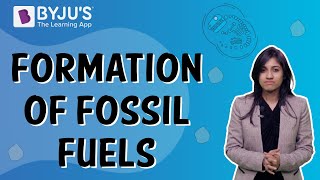 How Are Fossil Fuels Formed  Class 5  Learn With BYJUS [upl. by Asiel]