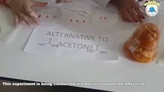 alternative to acetone  chemistry project [upl. by Frankie]