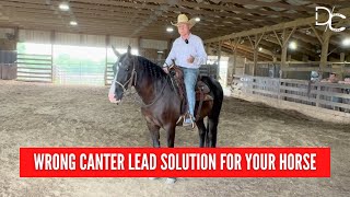 DC Horse Refuses a Left Canter Lead  My Solution [upl. by Jarlath709]