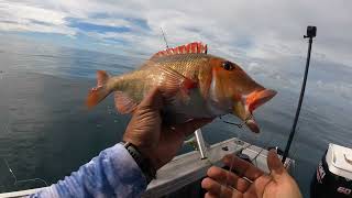 Glassout on Rock Cod Shoals [upl. by Chi134]