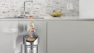 How to use an InSinkErator Food Waste Disposer [upl. by Cassey694]