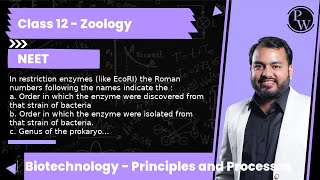 In restriction enzymes like EcoRI the Roman numbers following the names indicate the  a Order [upl. by Nikolas]