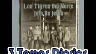 Carne QuemadaLos Tigres del Norte Album Jefe de Jefes CD 1 Año 1997 [upl. by Axia973]