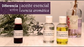 Cuáles son las diferencias entre los aceites esenciales y las esencias aromáticas [upl. by Annoynek512]