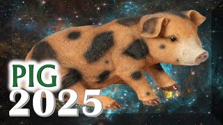 ✪ Pig Horoscope 2025  Born 2019 2007 1995 1983 1971 1959 1947 1935 [upl. by Rowe101]