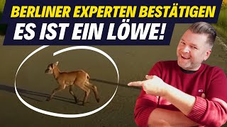 Der Fahrlehrer reagiert auf quotEure Videos Fahrnünftigquot [upl. by Nyliram]