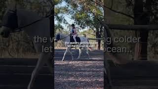 her riding glowup WOW YOU DID A GOOD JOB 100kdoodleraffle horse coughremedies omaze teamgeorge [upl. by Aicilana]