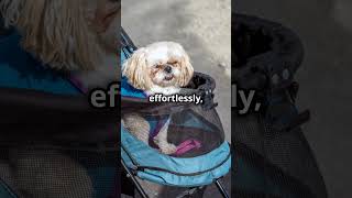 Zoosky Folding Dog Stroller [upl. by Ilahtan61]