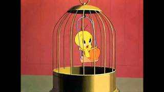 Tweety Song [upl. by Anali]