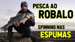 Como apanhar ROBALOS na espuma  Spinning Portugal  Seabass fishing on the surf [upl. by Adest]