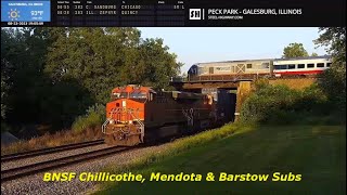 Galesburg Peck Park Live Railcam  Galesburg IL SteelHighway [upl. by Frost]