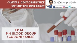 Chapter 4 EP 14  Sem 1  MN Blood Group Crossing  Codominance example Matriculation Biology [upl. by Llenehs]