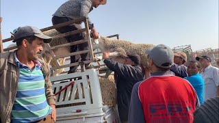 أجواء عيد الأضحى في الرحبة 😍 Eid Al Adha Morocco [upl. by Knight821]