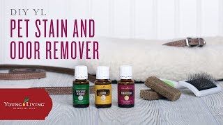 DIY Pet Odor Deodorizer with Young Living Essential Oils [upl. by Ilyak629]