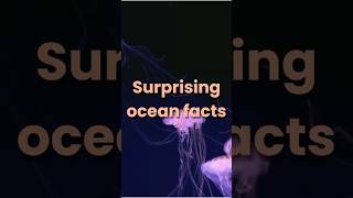 We only know five percent of the ocean Follow for more fascinating facts about life shorts [upl. by Sajovich]