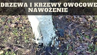 Jak nawozić drzewa i krzewy owocowe wiosną [upl. by Ahcurb666]