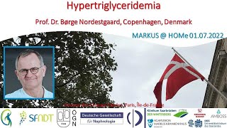 Hypertriglyceridemia  Prof Nordestgaard Copenhagen Denmark [upl. by Patricio118]