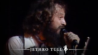 Jethro Tull  Songs From The Wood Live At Madison Square Garden 1978 [upl. by Aruon]