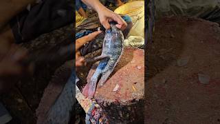 Amazing Tilapia Fish Cutting Skills In Bangladesh Fish Market By Expert Cutter shorts [upl. by Yeuh]